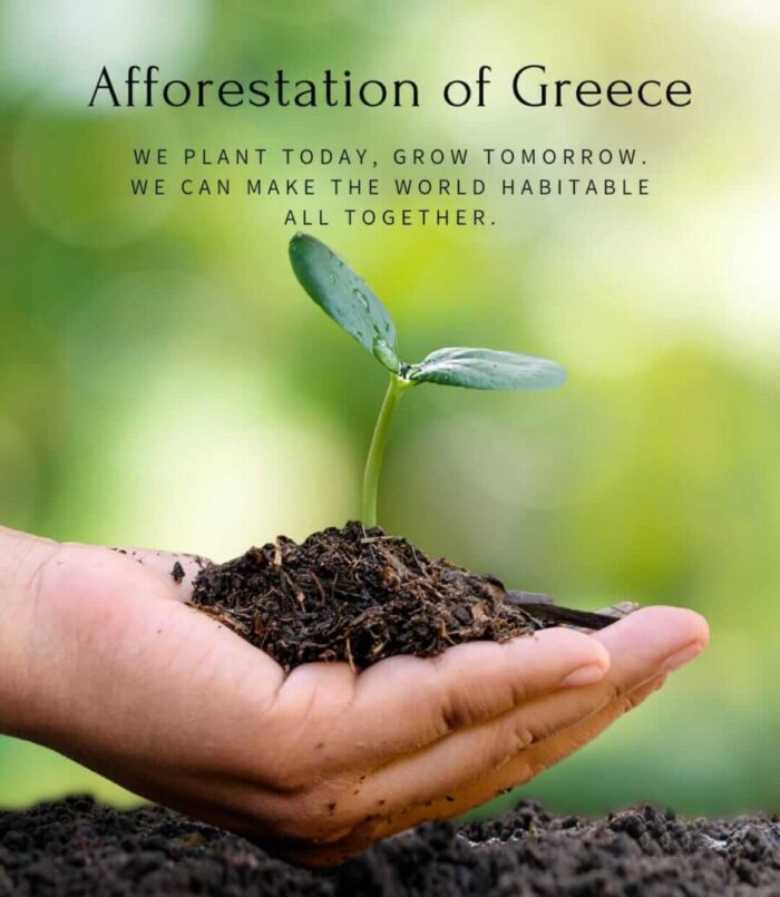 Afforestation of Greece
